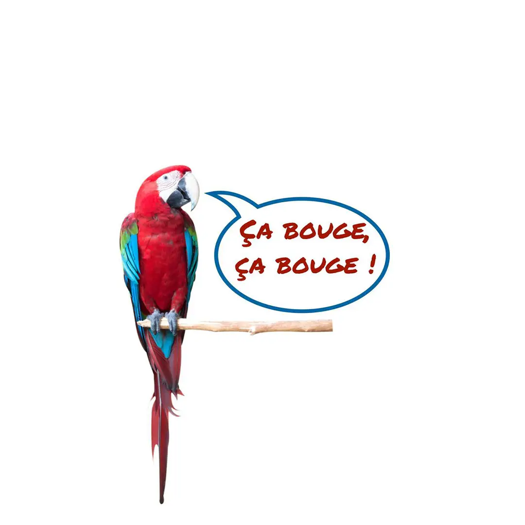 Voyance en ligne